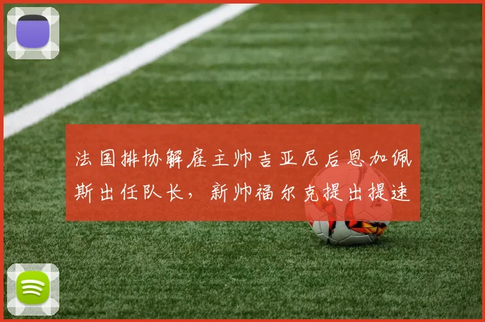法国排协解雇主帅吉亚尼后恩加佩斯出任队长,新帅福尔克提出提速打法震惊世界排坛__br_